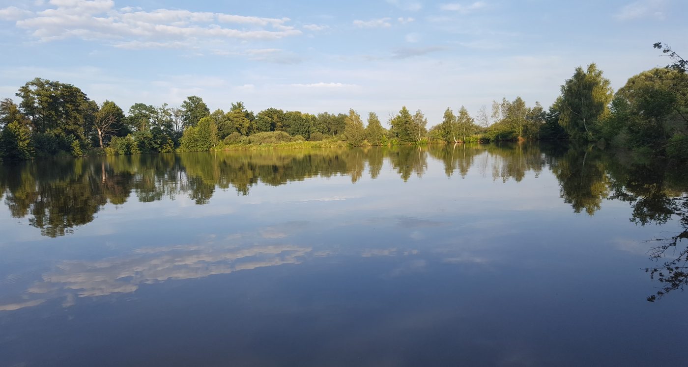 Trees mirrored in the still lake at Haven